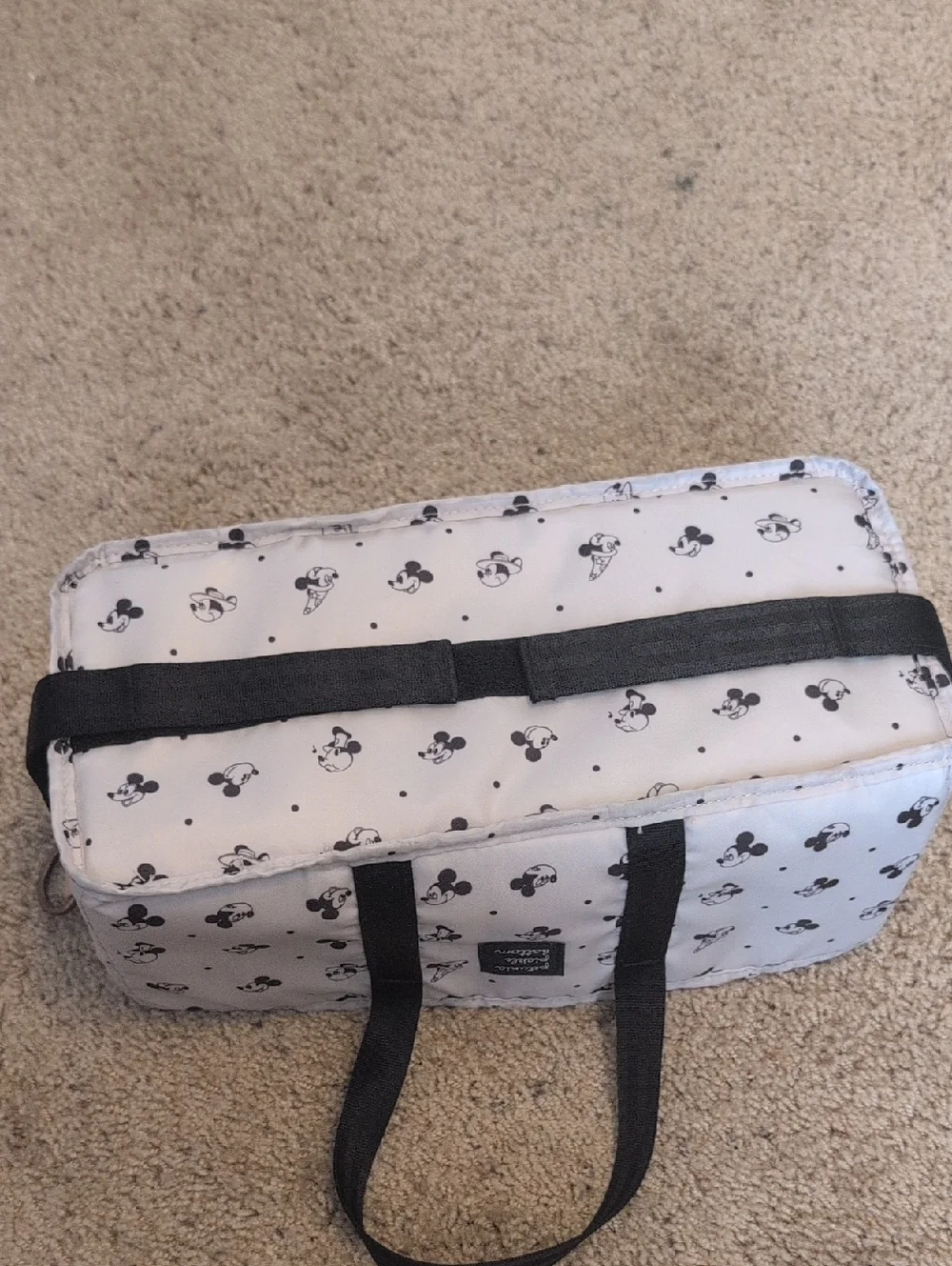 Petunia Pickle Bottom for Disney Baby Inter-Mix System